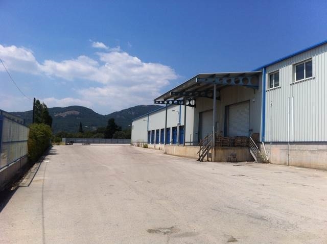 (For Sale) Commercial Industrial Area || Voiotia/Oinofyta - 3.866Sq.m 
