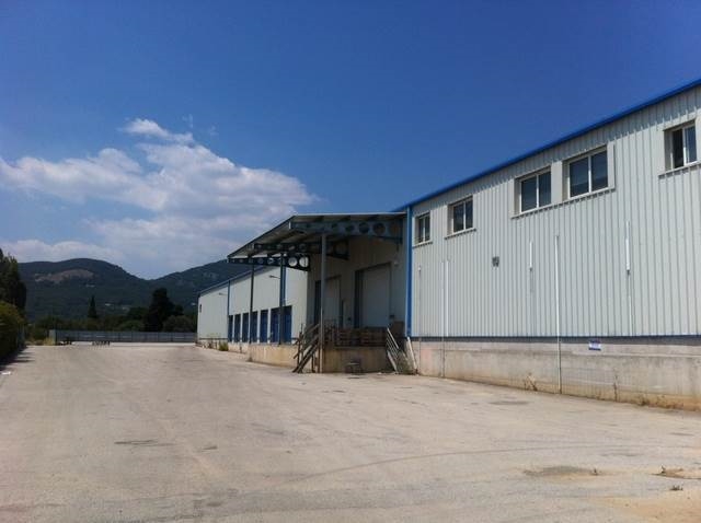 (For Sale) Commercial Industrial Area || Voiotia/Oinofyta - 3.866Sq.m, 1.100.000€ 