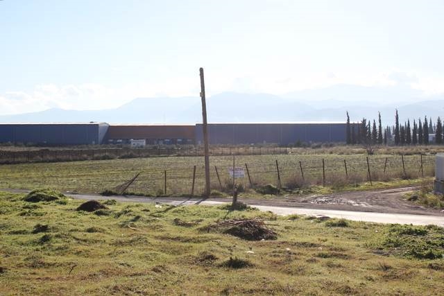 (For Sale) Land Industrial Plot || Voiotia/Oinofyta - 4.150Sq.m, 160.000€ 
