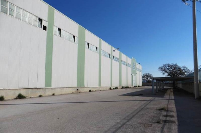 (For Sale) Commercial Industrial Area || Voiotia/Oinofyta - 4.232Sq.m, 1.000.000€ 