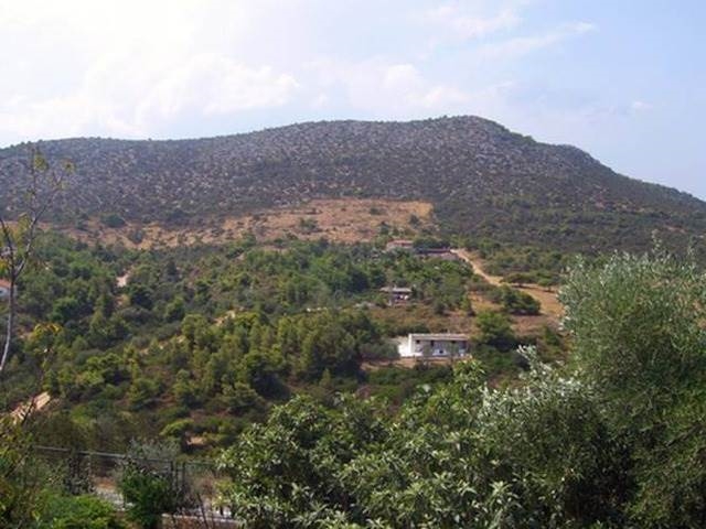 (For Sale) Land Large Land  || East Attica/Grammatiko - 2.500.000Sq.m 