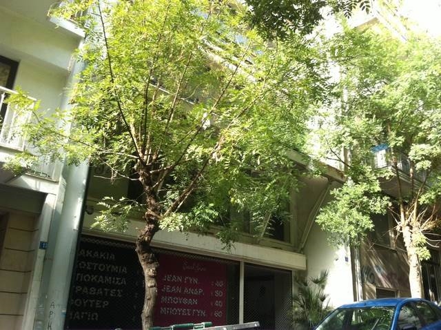 (For Sale) Commercial Building || Athens Center/Athens - 700Sq.m, 1.350.000€ 